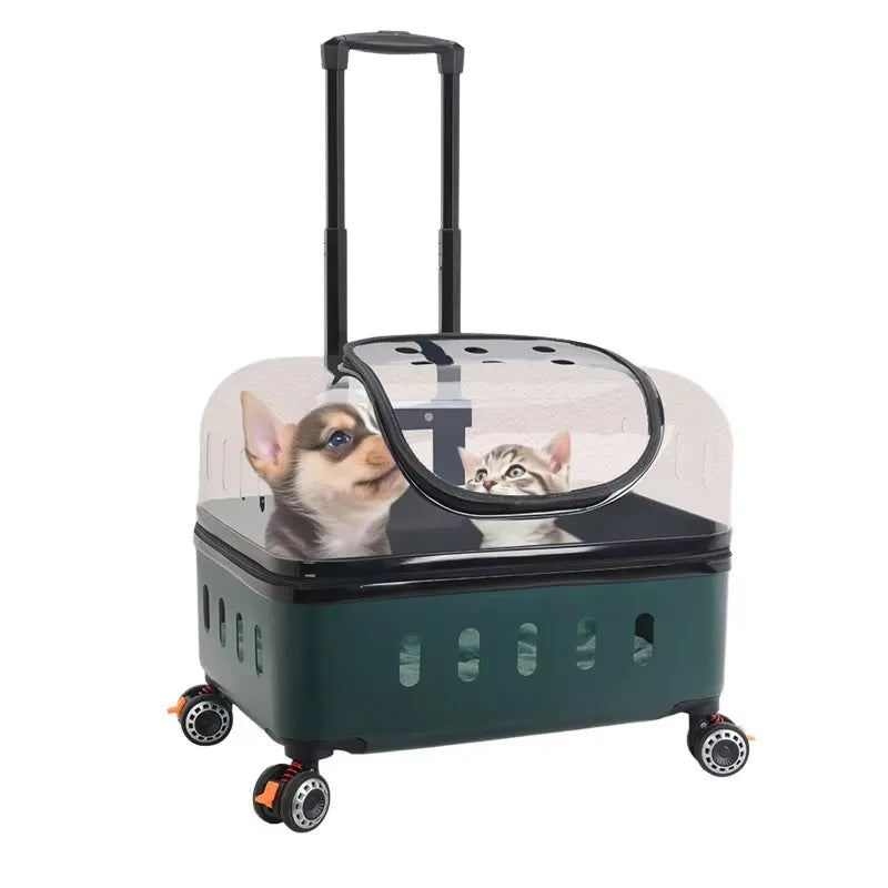 Transparent Plastic Pet Trolley Backpack with Universal Wheels & Zipper