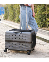 2026 Large Capacity Transparent Pet Suitcase Portable Stroller Double Medium To Large Pets Cat Outdoor Travel Bag