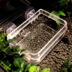 Anti-Escape Reptile Feeder Bowl — Clear Food & Water Dish for Small Reptiles
