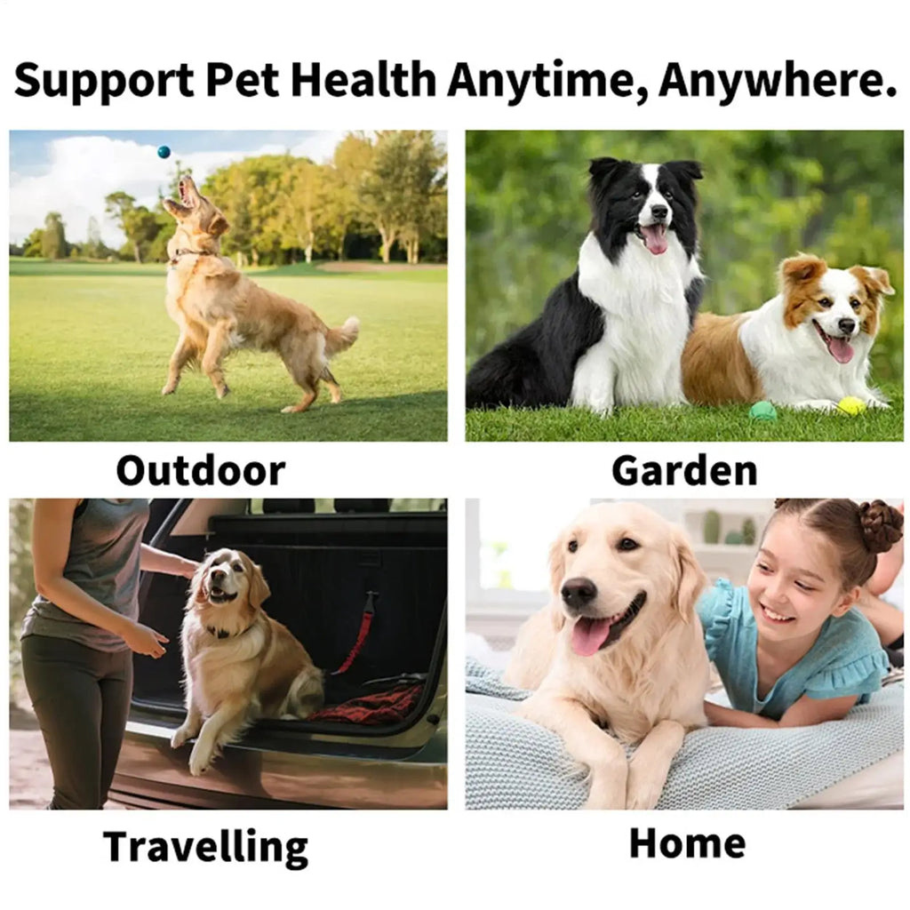 Disposable Finger Toothbrush Wipes for Pets — Fresh Breath, 50-Pack