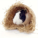 Grass Hideout Tunnel — Natural Woven Hut for Small Pets
