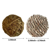 Small Pet Chew Toy Set — Apple Branch & Grass for Dental Health
