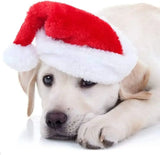 Christmas Santa Hat Cosplay Costume 50-Pack (Pet Ornament)