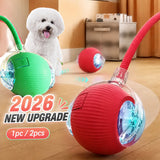 Automatic Rolling Dog Ball Toy (Rechargeable Interactive)