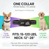 Wireless GPS Dog Collar Fence - 48H Battery Invisible Electric Fence