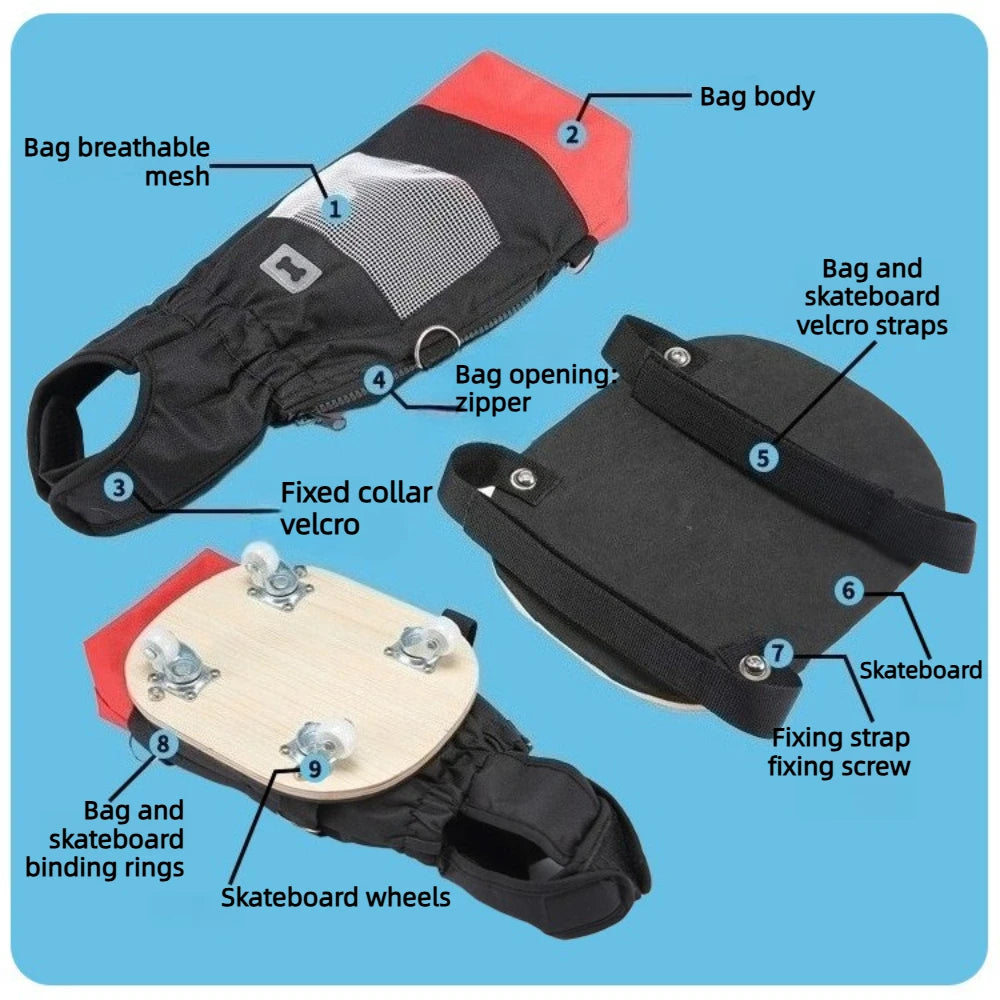 Dog Wheelchair with Rear Leg Support — Mobility Aid Scooter for Disabled & Elderly Dogs