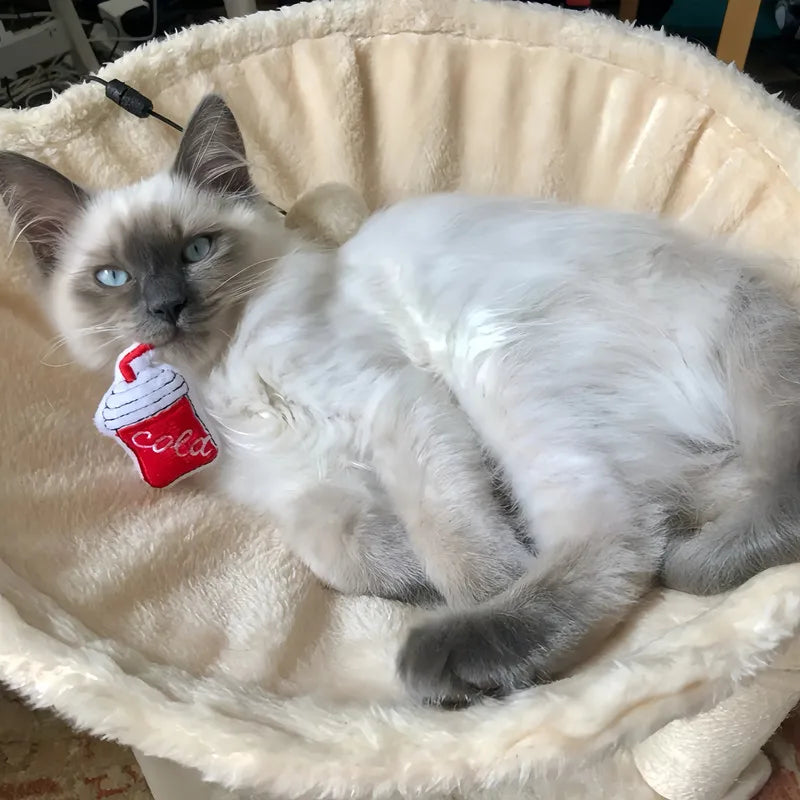 Catnip-Filled Plush Cat Toys