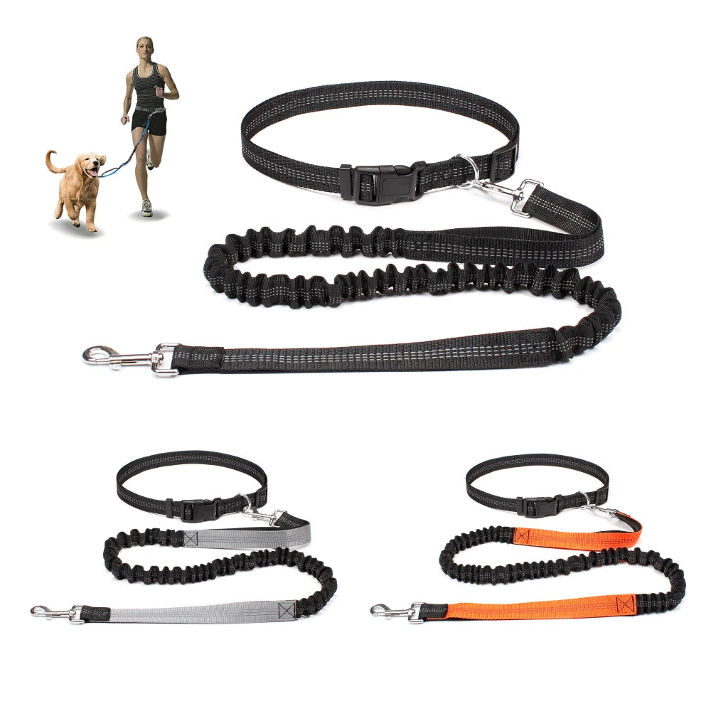 Hands-Free Running Dog Leash with Waist Belt