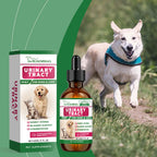 Pet Kidney Health Supplement — Gentle Vitality Support for Dogs & Cats