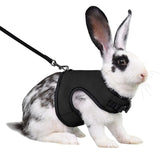 Vest-Style Carrier Bag with Harness & Leash Set for Rabbits