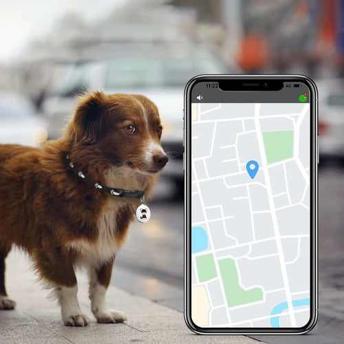 AirTag-Style Bluetooth GPS Tracker Collar for Dogs, Cats & Birds - Anti-Loss