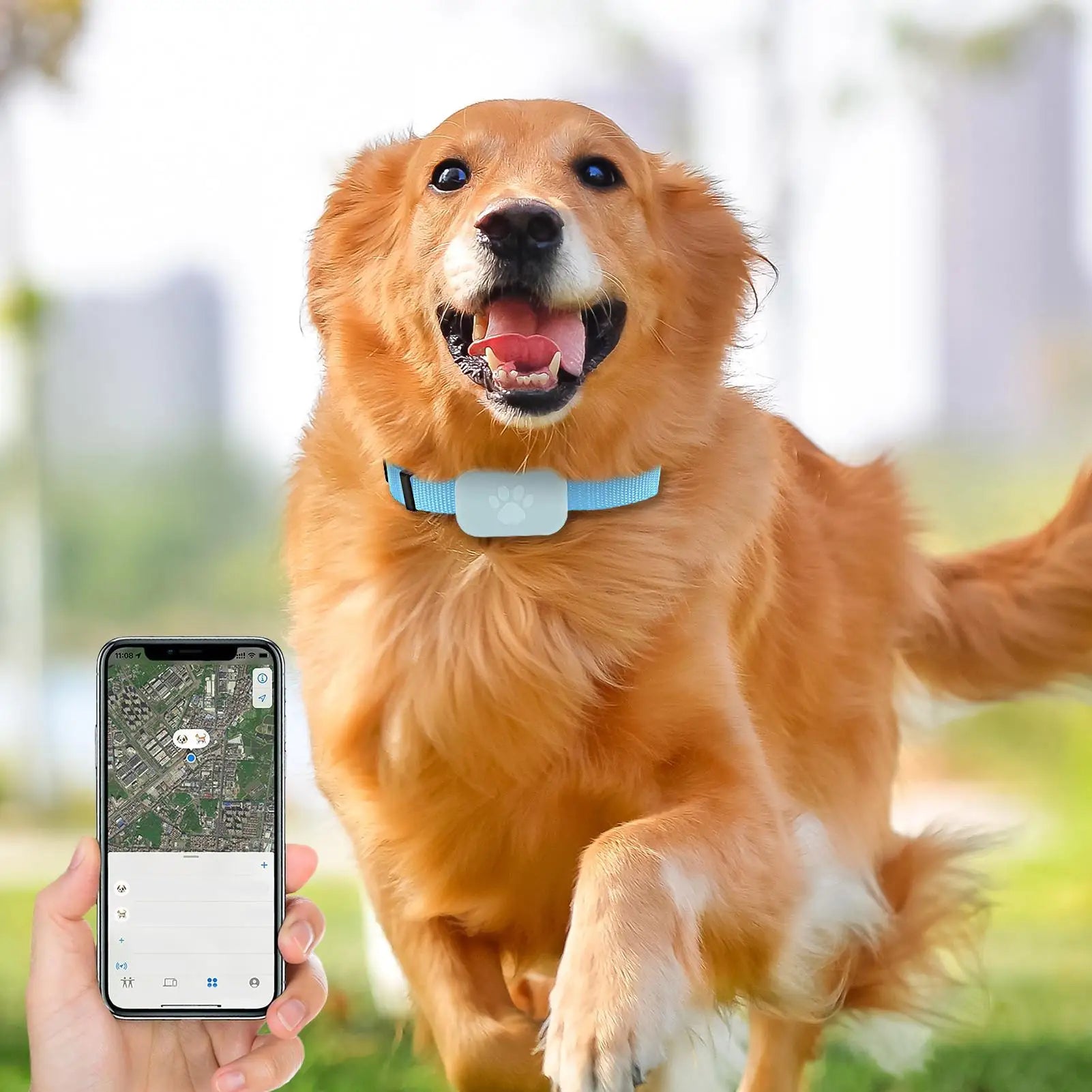 Long Battery GPS Cat & Dog Collar Tracker - Global Safety Locator