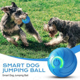 Automatic Chase Ball Toy with Tail Rope — Interactive Play for Bored Indoor Cats