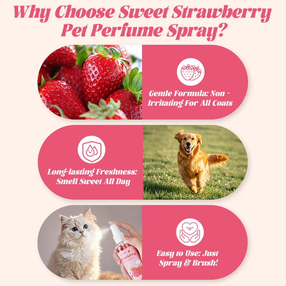 Strawberry Pet Perfume Spray — Long-Lasting, Gentle Daily Fragrance