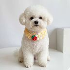 Hand-Knitted Bow Tie Collar Scarf — Adjustable Plant-Theme Pet Accessory