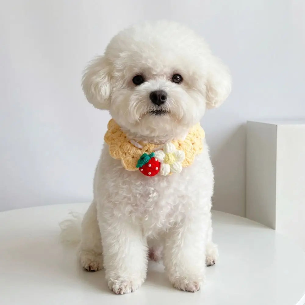 Hand-Knitted Bow Tie Collar Scarf — Adjustable Plant-Theme Pet Accessory