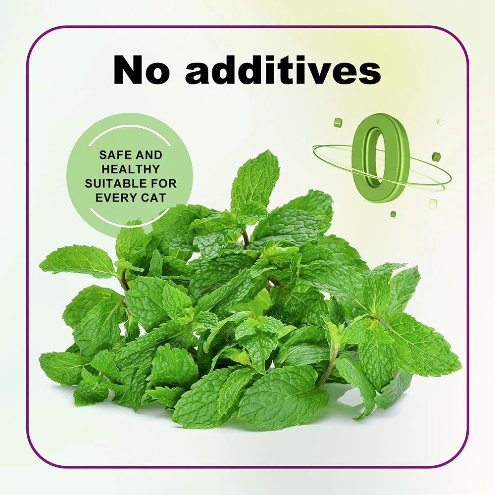 Organic Catnip Blend in Glass Jar (100ml)