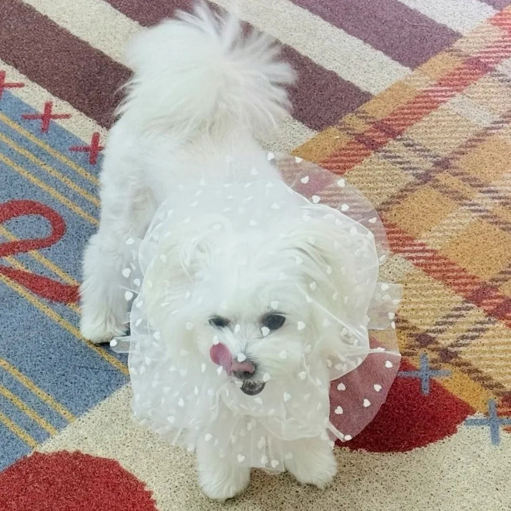 Pet Anti-Mosquito Headgear (Breathable Mesh, Adjustable, Love/Wave Pattern)