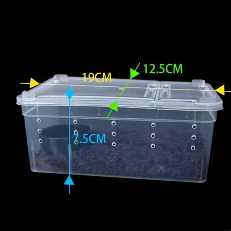 Portable Mini Terrarium Habitat — Transparent Travel Box for Small Reptiles & Insects