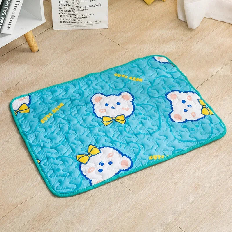 Multi-Functional Washable Pet Mat