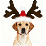 Christmas Antler Headband for Pets (Party Cosplay Headwear)