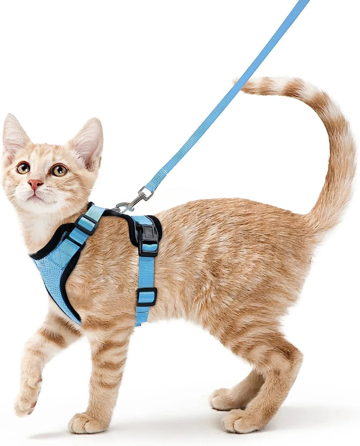 Anti-Escape Kitten Harness & Leash Set — Lightweight Breathable Vest