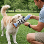 Plush Fish Cat Toy with Bell — Bite-Resistant Squeaky Teaser