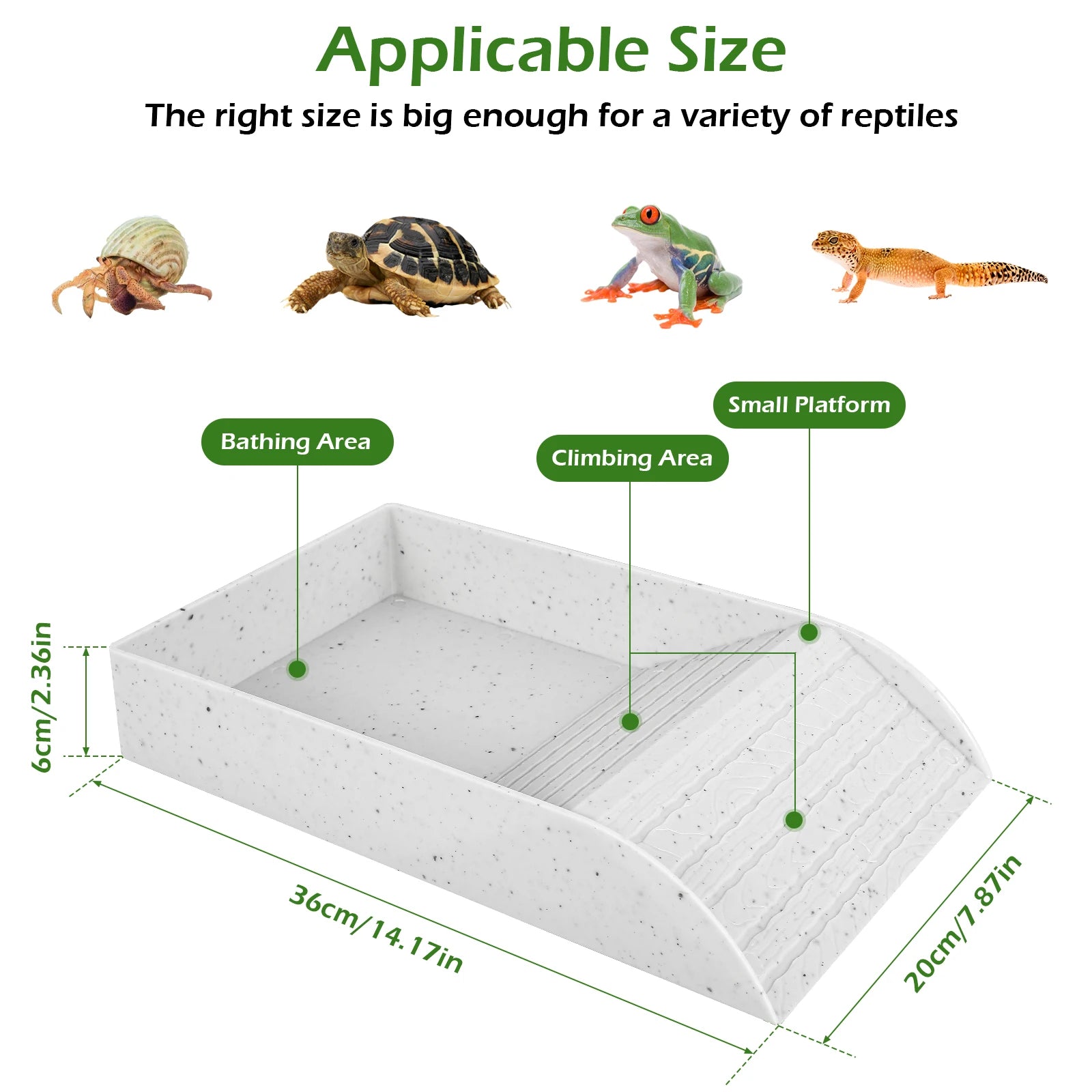 Anti-Slip Tortoise Bathing Dish — Dual-Ramp Food & Water Bowl