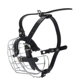 Metal Basket Dog Muzzle (Vet Visits, Anti-Scavenge, Easy Clean)