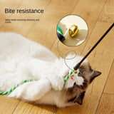 Feather Cat Teaser Wand with Bell — Lightweight Daily Exercise Toy