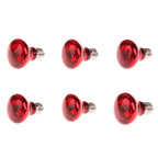 E27 Infrared Basking Bulb — Day & Night Heat Light, 25W–100W