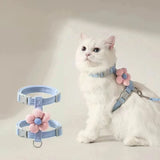 Step-In Harness & Leash Set for Cats & Dogs