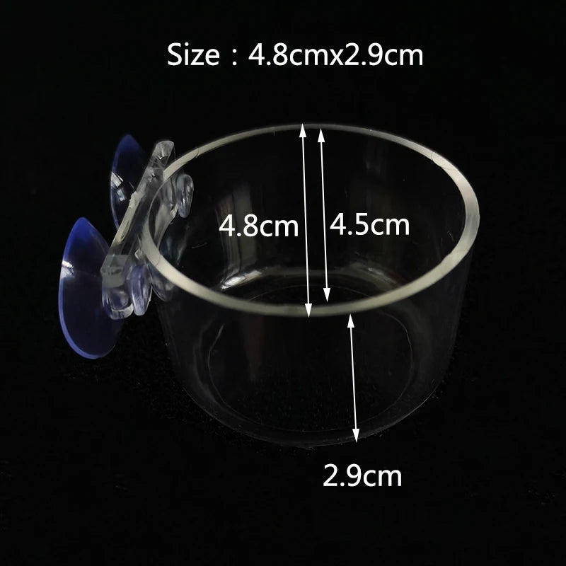 Glass Aquarium Shrimp Feeding Ring & Feeder Dish (Transparent, Floating, Bottom)
