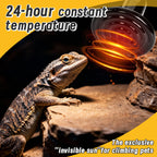 Far-Infrared Ceramic Heat Lamp — Dual-Voltage No-Light Heater, 25W-200W
