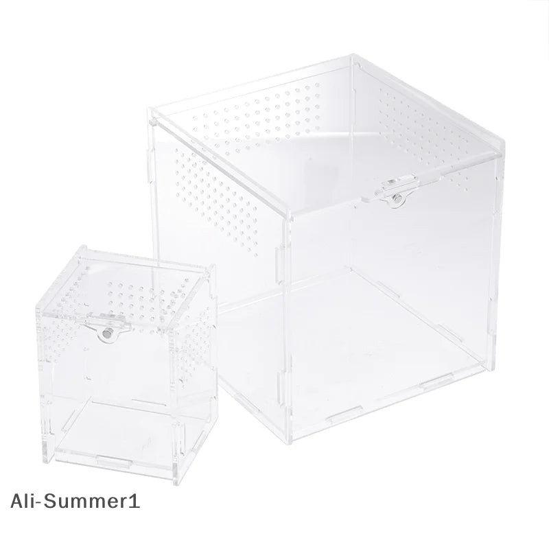 Acrylic Reptile Breeding Box — Ventilated Enclosure for Spiders & Small Reptiles