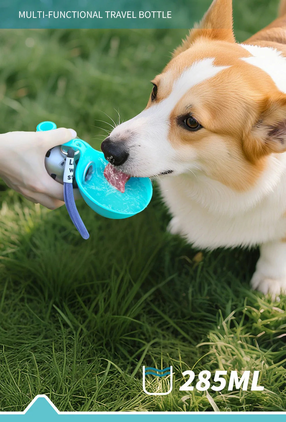 Portable Dog Water Bottle (285ml)