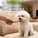 Crinkle Snake Kick Toy (Dual-Use Pet Toy)