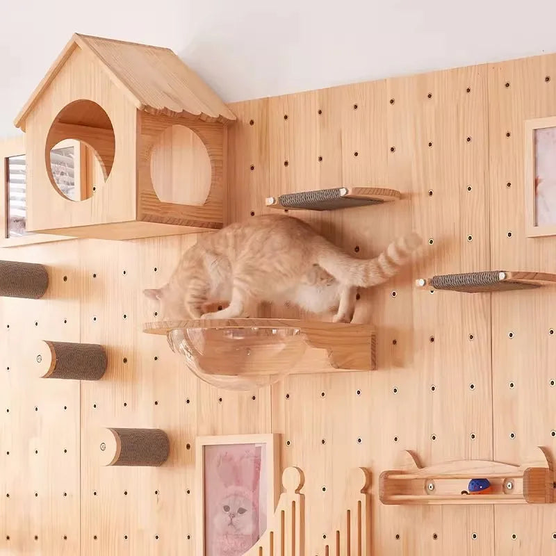 Wall-Mounted Cat Climbing Shelf & Hammock