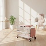 Pet Carrier with Wheels Transparent Pet Carrier Suitcase Hard-Sided Cats, Small Dogs, Travel, Airport, Professional Visits
