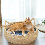 Cardboard Cat Scratcher Bed with Removable Cushion — 40cm Scratch & Nap Station