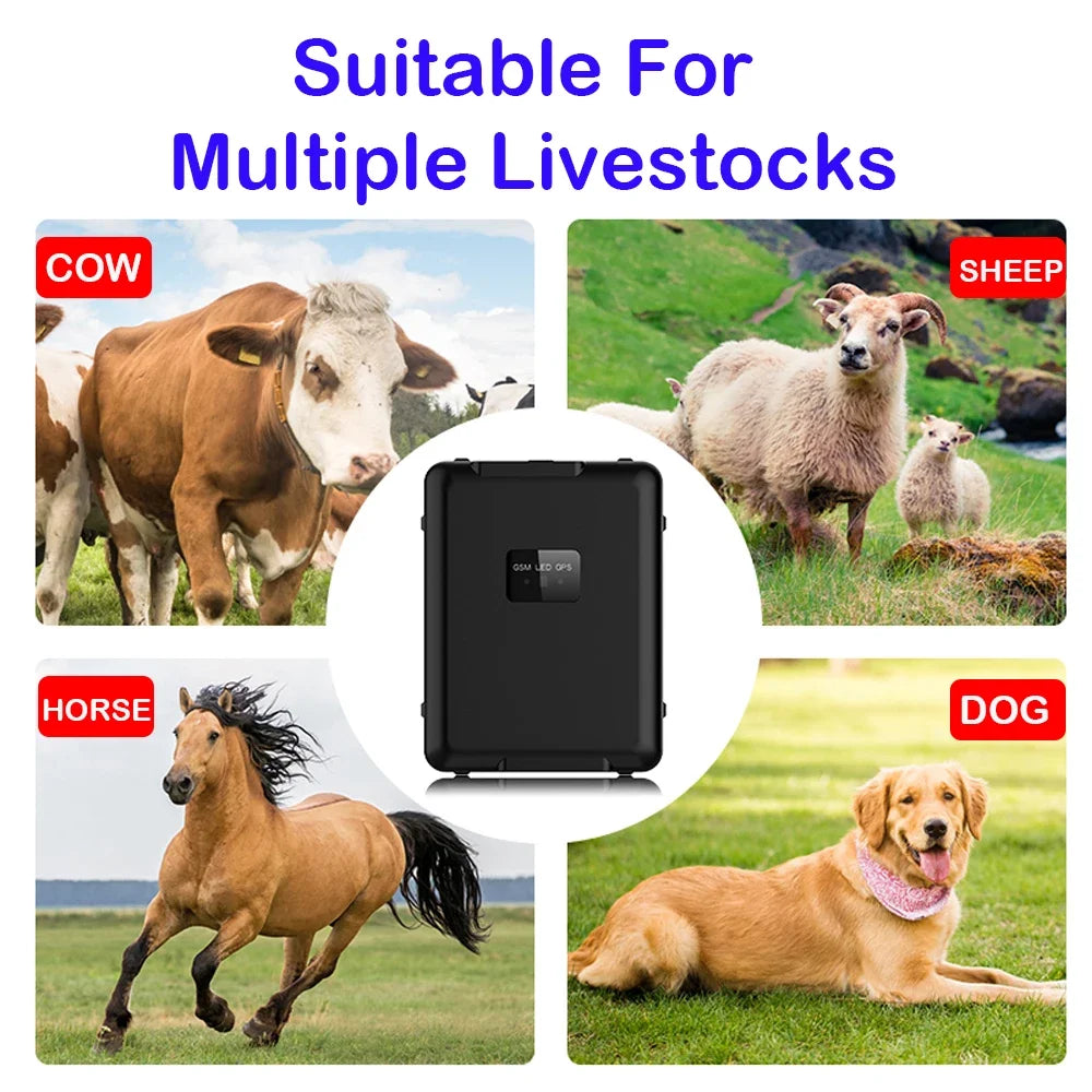 4G GPS Livestock Tracker for Sheep, Cattle & Horses with 20,000mAh Battery