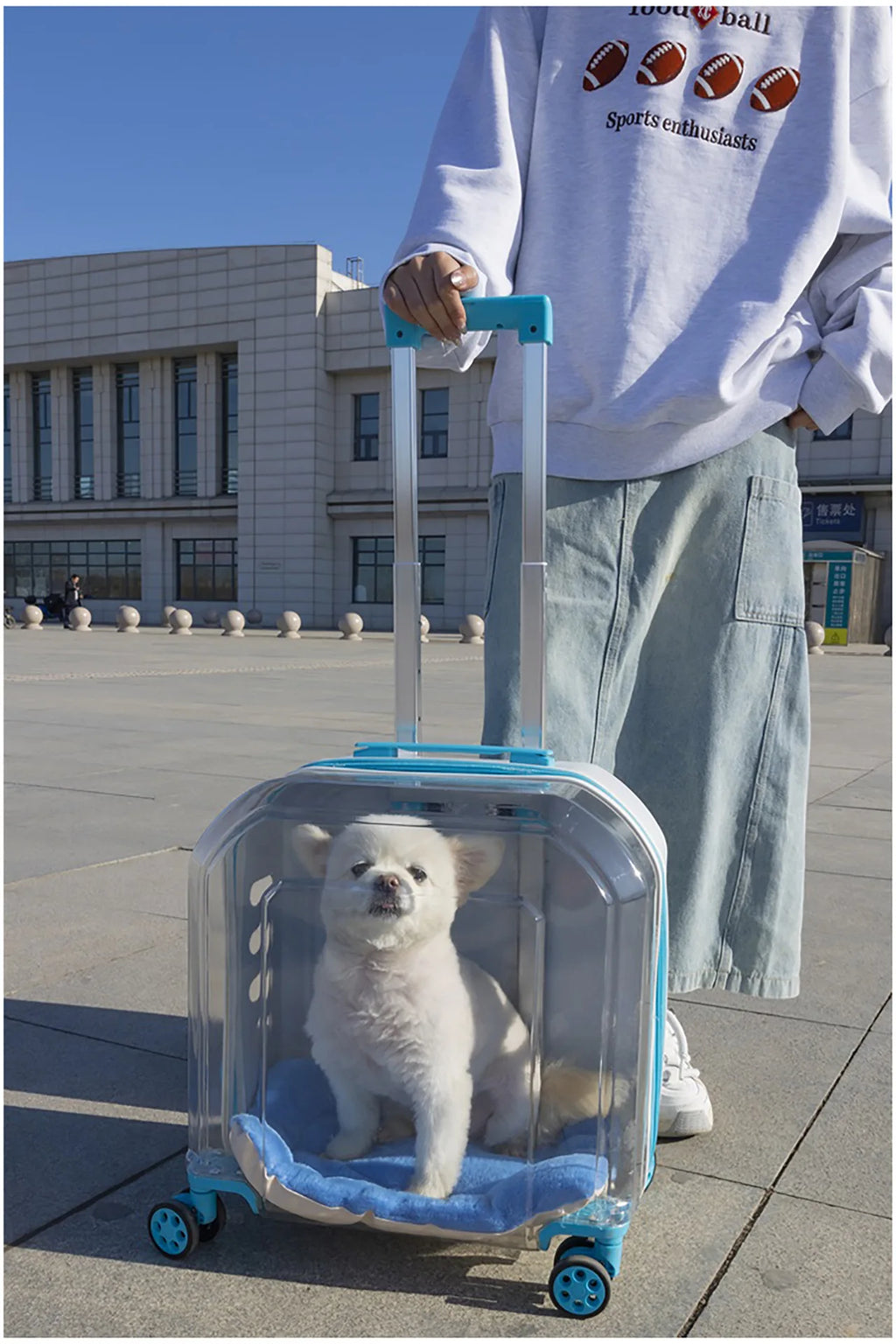 Translucent Portable Large-Capacity Pet Carrier & Aviation Travel Case for Cats
