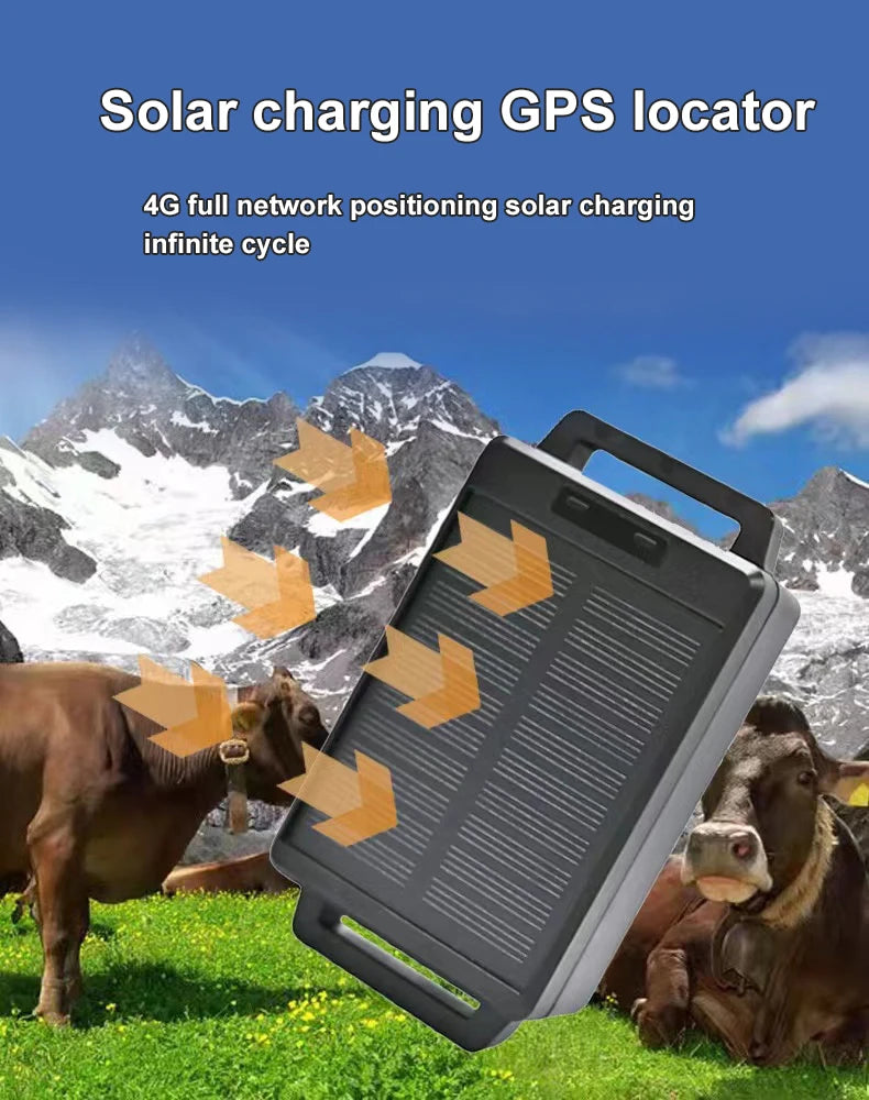 4G Solar GPS Livestock Tracker for Cattle, Horses & Sheep - IP67 Waterproof