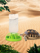 Automatic Turtle & Lizard Water Dispenser — Space-Saving Landscape Water Basin