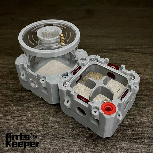 Modular Formicarium Ant Farm — Expandable Ant Keeping System