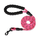 Adjustable Dog Harness & 150cm Leash Set — Reflective Design