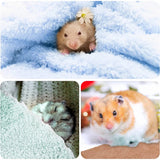 Coral Fleece Blanket Set (2 Pcs) — Soft Bedding for Small Pets