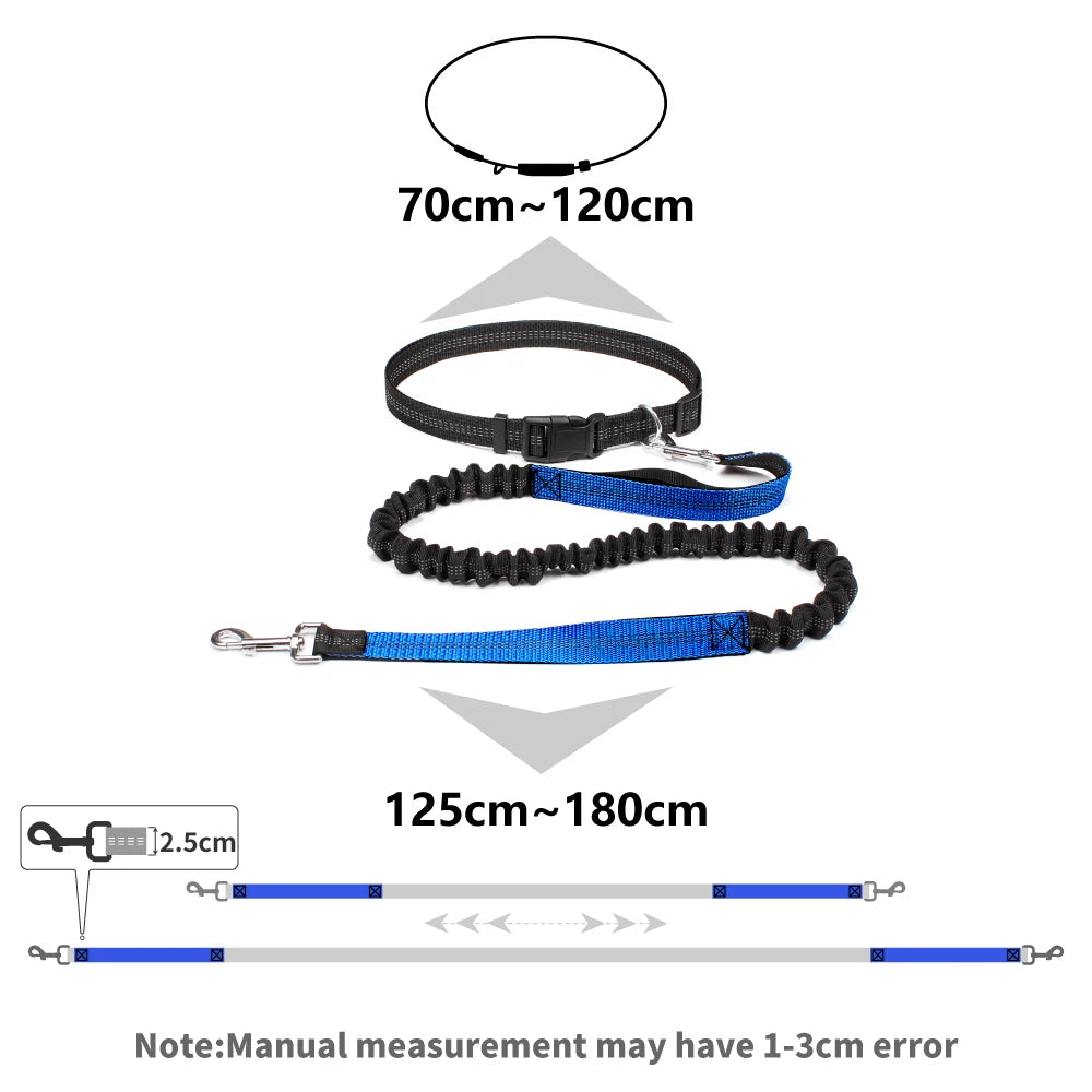 Hands-Free Running Dog Leash with Waist Belt