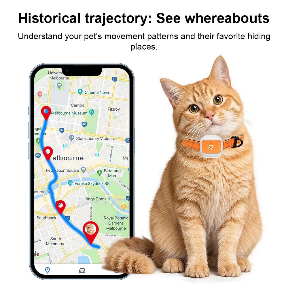 GPS Pet Tracker Collar for Puppies & Kittens - Real-Time Locator