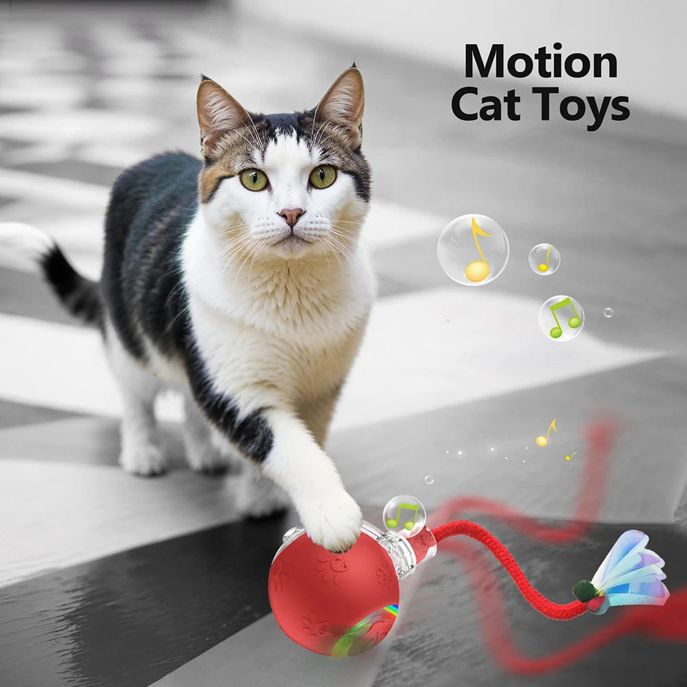 Motion-Activated Self-Rotating Cat Ball — Fast-Rolling Interactive Exerciser